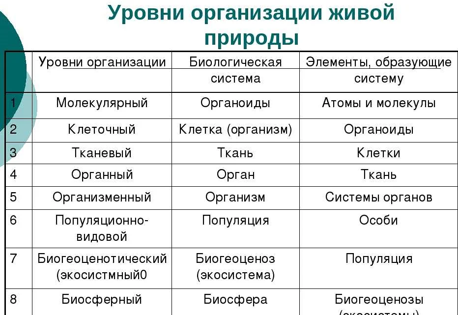 5 антипримеров: какие тексты не надо размещать на главной