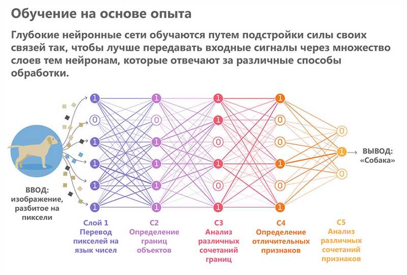 Нейросети Сбера правят и сокращают тексты – мы это проверили