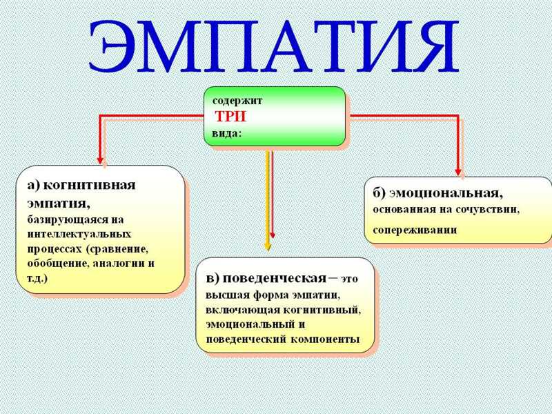 Проектирование для пользователя: роль эмпатии в веб-дизайне