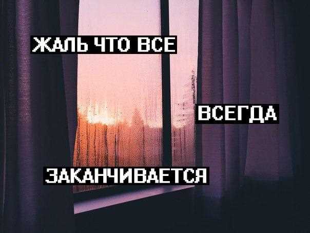 За что полюбили мем: «Жаль, не все поймут»?